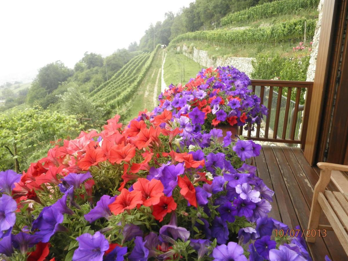 B&B Al Ghiro Villa Lagarina Szoba fotó